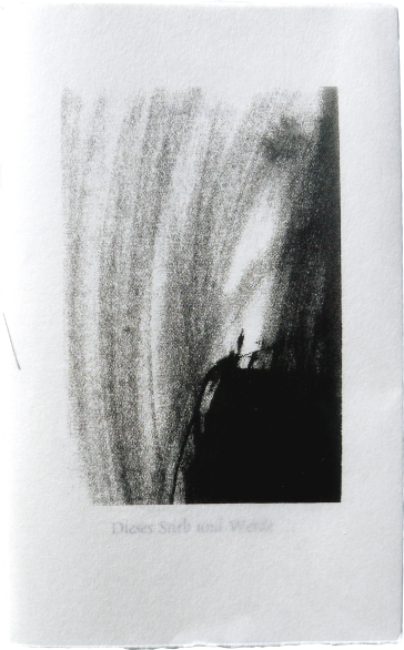 Buchcover No. 11: Dieses Stirb und Werde …