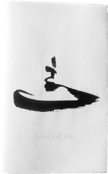 Buchcover No. 4: Haben und Sein