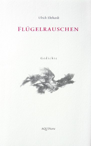 Buchcover Flügelrauschen